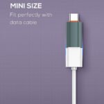 Ldnio LC140 Type-C to USB Converter - Image 5